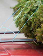 Screen shot 2012-11-25 at 4.35.17 PM