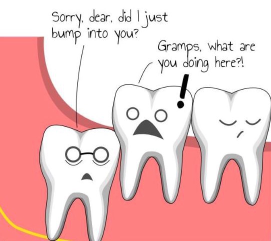 C5D87964-FC9F-40B2-BBB9-A45AB2A9192D